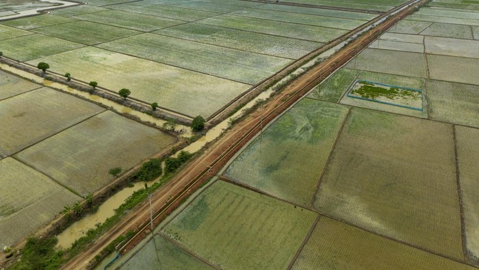 Penerapan Sistem Irigasi Padi Hemat Air Foto udara petani menanam padi di sawah yang menggunakan tata cara Irigasi Padi Hemat Air (IPHA) di kecamatan Sindang, Indramayu, Jawa Barat, Senin (13/1/2025). Menteri Pekerjaan Umum (PU) Dody Hanggodo menyampaikan tata cara irigasi padi hemat air (IPHA) akan dipraktekkan di seluruh Indonesia alasannya yakni tata cara ini bisa mengurangi penggunaan air sebanyak 30 persen dan terbukti sanggup mengembangkan buatan padi. ANTARA FOTO/Dedhez Anggara/YU