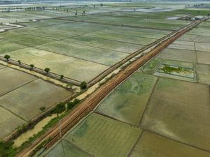 Pemerintah Geber Pembangunan Irigasi buat Kejar Swasembada Pangan Pemerintah Geber Pembangunan Irigasi buat Kejar Swasembada Pangan