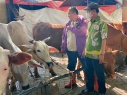 Pasar Hewan di Pasuruan Ditutup 2 Minggu Cegah Meluasnya Wabah PMK