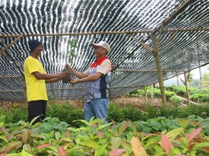 Rehabilitasi DAS Cibuni, Pertamina Cepu Tanam 157 Ribu Pohon di Cianjur