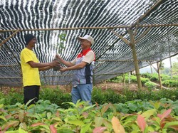 Rehabilitasi DAS Cibuni, Pertamina Cepu Tanam 157 Ribu Pohon di Cianjur