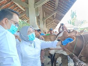 Jatim Segera Digelontor 1,7 Juta Vaksin Penyakit Mulut dan Kuku Jatim Segera Digelontor 1,7 Juta Vaksin Penyakit Mulut dan Kuku