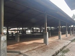 Pasar Hewan Banjarnegara Sepi Dampak PMK, Penjual: Turun 70%