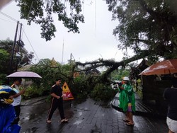 Bencana di Tabanan Awal Tahun, Pemkab Alokasikan Rp 5 Miliar untuk Penanganan