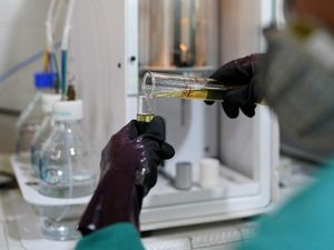 Menang Sengketa di WTO, RI Desak UE Hapus Bea Masuk Biodiesel Menang Sengketa di WTO, RI Desak UE Hapus Bea Masuk Biodiesel