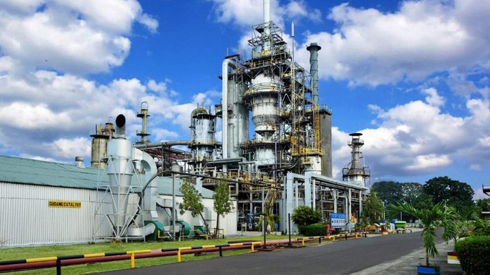 Biodiesel Menguat, Pasokan Jadi Kunci: Roadmap Sawit untuk Ketahanan Energi