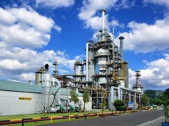 Biodiesel Menguat, Pasokan Jadi Kunci: Roadmap Sawit untuk Ketahanan Energi