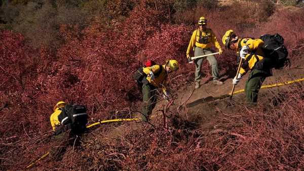 Potret Petugas Damkar Meksiko Bantu Tangani Kebakaran Hutan Los Angeles