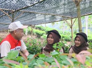 Pertamina EP Hijaukan 6,3 Hektar Lahan DAS, Tanam 9.942 Pohon Sejak 2023