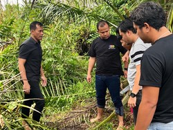 Gadis Usia 12 Tahun di Inhil Diperkosa di Kebun Sawit, Pelaku Ditangkap