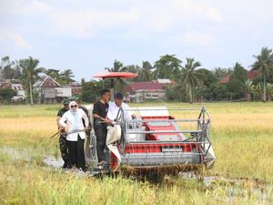 Harga Gabah Sumsel Terendah se-Indonesia, Wamentan Minta APH-Bulog Tangani