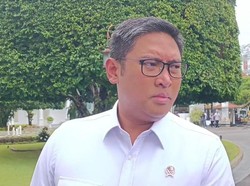 Wamentan Target Datangkan 200 Ribu Sapi di 2025 untuk Program MBG