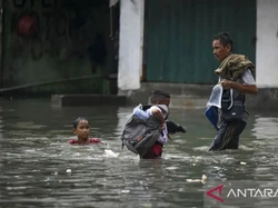 3 RT di Pluit Jakut Terendam Banjir Rob, Ketinggian Air Capai 50 Cm