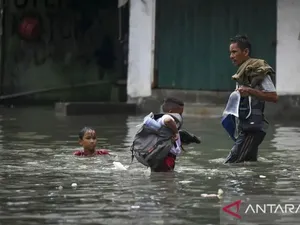 3 RT di Pluit Jakut Terendam Banjir Rob, Ketinggian Air Capai 50 Cm 3 RT di Pluit Jakut Terendam Banjir Rob, Ketinggian Air Capai 50 Cm