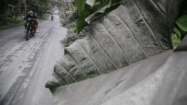 Abu Vulkanik Gunung Ibu Selimuti Desa Tobaro Halmahera Barat