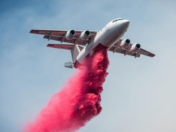 Bubuk Pink Halau Kebakaran Los Angeles Meluas, Apa Kandungannya?