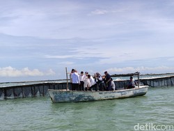 Ombudsman Bareng KKP-Kementerian ATR Cek Pagar Misterius di Laut Tangerang
