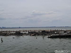 DKP Jabar soal Temuan Pagar Laut di Bekasi: Beda dengan Tangerang