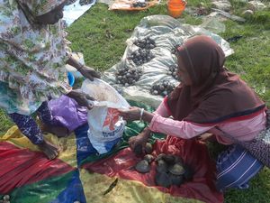 Wujud Pasar Barter yang Masih Eksis di Fakfak, meski Zaman Serba Modern Wujud Pasar Barter yang Masih Eksis di Fakfak, meski Zaman Serba Modern