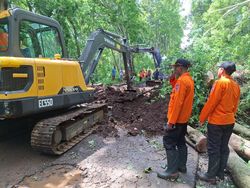 2 Pohon Tumbang dan Longsor Tutup Jalan Raya Gunung Geger Malang