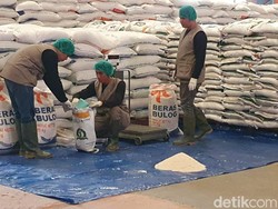 Bulog Butuh Rp 57 T buat Serap 4,7 Juta Ton Beras 2025