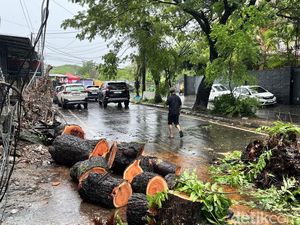 Waspada, 34 Ruas Jalan di Makassar Rawan Pohon Tumbang Waspada, 34 Ruas Jalan di Makassar Rawan Pohon Tumbang