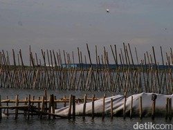 Polisi Temukan Lagi Pemalsuan 201 Sertifikat Terkait Pagar Laut di Bekasi