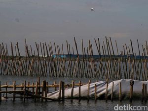 Polisi Temukan Lagi Pemalsuan 201 Sertifikat Terkait Pagar Laut di Bekasi Polisi Temukan Lagi Pemalsuan 201 Sertifikat Terkait Pagar Laut di Bekasi