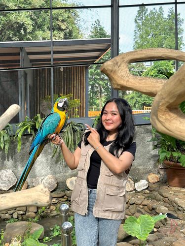 Dok Rivera Outbound & Edutainment