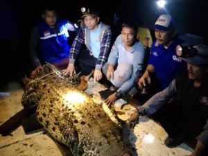 Buaya yang Lepas dari Penangkaran di Batam Diduga Lebih 5 Ekor, Warga Resah Buaya yang Lepas dari Penangkaran di Batam Diduga Lebih 5 Ekor, Warga Resah