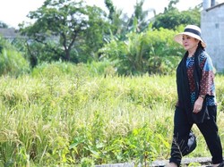 Titiek Soeharto Minta Bulog Serap Gabah Petani Seharga Rp 6.500