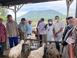 DPRD Jatim Minta Pemerintah Pusat Tingkatkan Status PMK