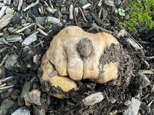 Foto yang Dapat Mengecoh Mata, Harus Jeli Banget Lihatnya