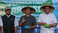 Mendes dan Wamendes Kompak Tanam Jagung di Subang