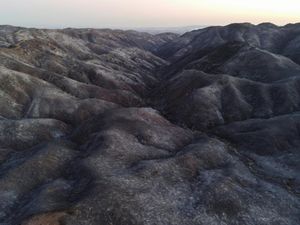 Perbukitan di Los Angeles Gundul Dilalap Api