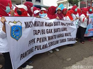Ratusan Honorer Demo di Kantor Bupati Pandeglang, Tuntut Pengangkatan PPPK