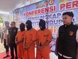 Otak Penyelundupan 29 Penyu di Jembrana Ditangkap, Pelaku Residivis