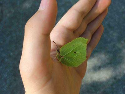 Hal Unik yang Terabadikan Kamera, Perlu Lihat Dua Kali untuk Menyadarinya