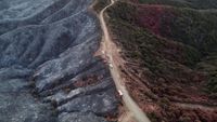 Kala Jalan Jadi Pemisah Kebakaran Hutan di Los Angeles