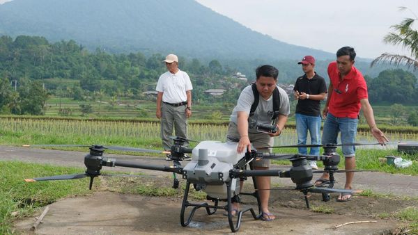 Petani di Bali Belajar Pakai Drone buat Bertani