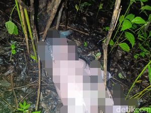 Mayat Bayi Ditemukan dalam Hutan di Kupang Mayat Bayi Ditemukan dalam Hutan di Kupang