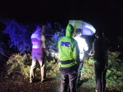 Pemotor Tewas Usai Hantam Pohon Tumbang di Kretek Bantul