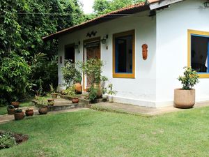 Tips Mengatur Taman agar Tidak Menjadi Sarang Serangga Tips Mengatur Taman agar Tidak Menjadi Sarang Serangga