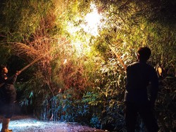 10 Bocah SD di Pati Diserang Tawon Vespa, Polisi Ungkap Kondisinya