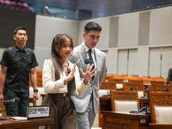 Video Verrell Bramasta Bawa Fuji Keliling DPR Sampai Trending di X