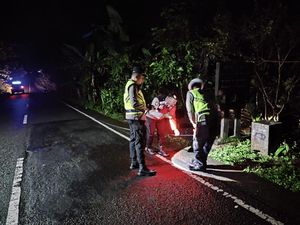 Balap Liar di Buleleng Berujung Petaka, Joki Terluka-Motor Hantam Penonton Balap Liar di Buleleng Berujung Petaka, Joki Terluka-Motor Hantam Penonton