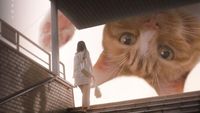 Begini Kalau Kucing Lebih Besar dari Manusia, Masih Berani Elus?