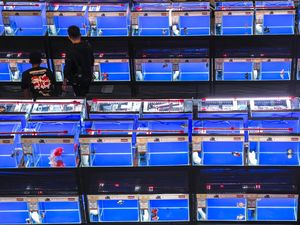 Berkunjung ke Festival Ikan Mas Koki di Tangerang