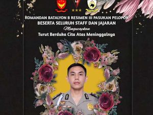 Jenazah Anggota Brimob Gugur Ditembak KKB di Yalimo Diterbangkan ke Jakarta Jenazah Anggota Brimob Gugur Ditembak KKB di Yalimo Diterbangkan ke Jakarta