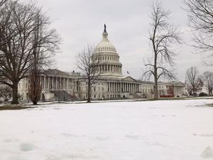 Mengenal Gedung Capitol, Gedung Bersejarah Tempat Pelantikan Trump Mengenal Gedung Capitol, Gedung Bersejarah Tempat Pelantikan Trump